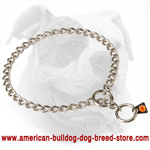 Herm Sprenger Choke Dog Collar for American Bulldog