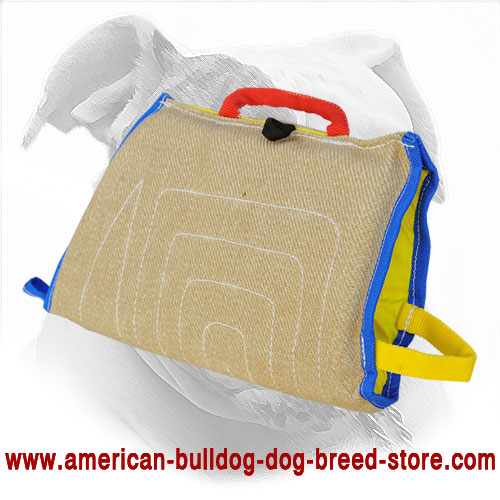 American Bulldog Bite Sleeve Made of Jute | Puppy Training