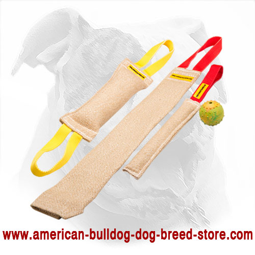 Set of Jute Bite Tugs for American Bulldog Puppy + Training Toy for Free