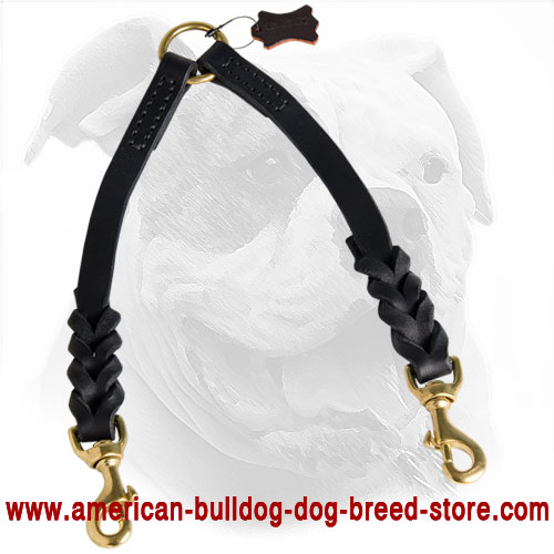 Braided Leather Dog Coupler for Walking 2 American Bulldogs