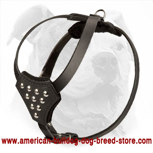 Leather American Bulldog Harness Decorated with Studs for Puppy