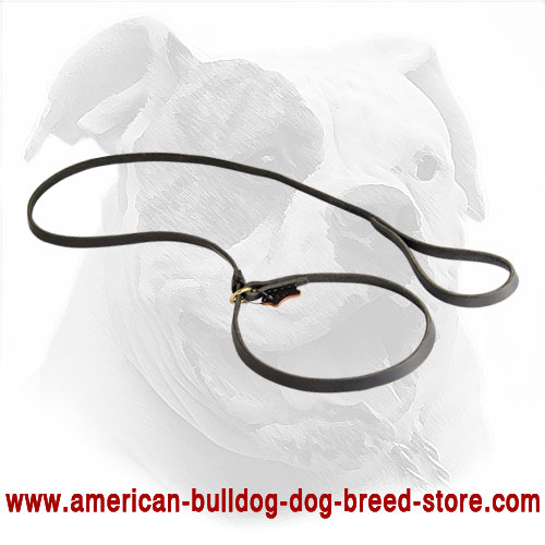Leather American Bulldog Leash with Choke Collar Combo