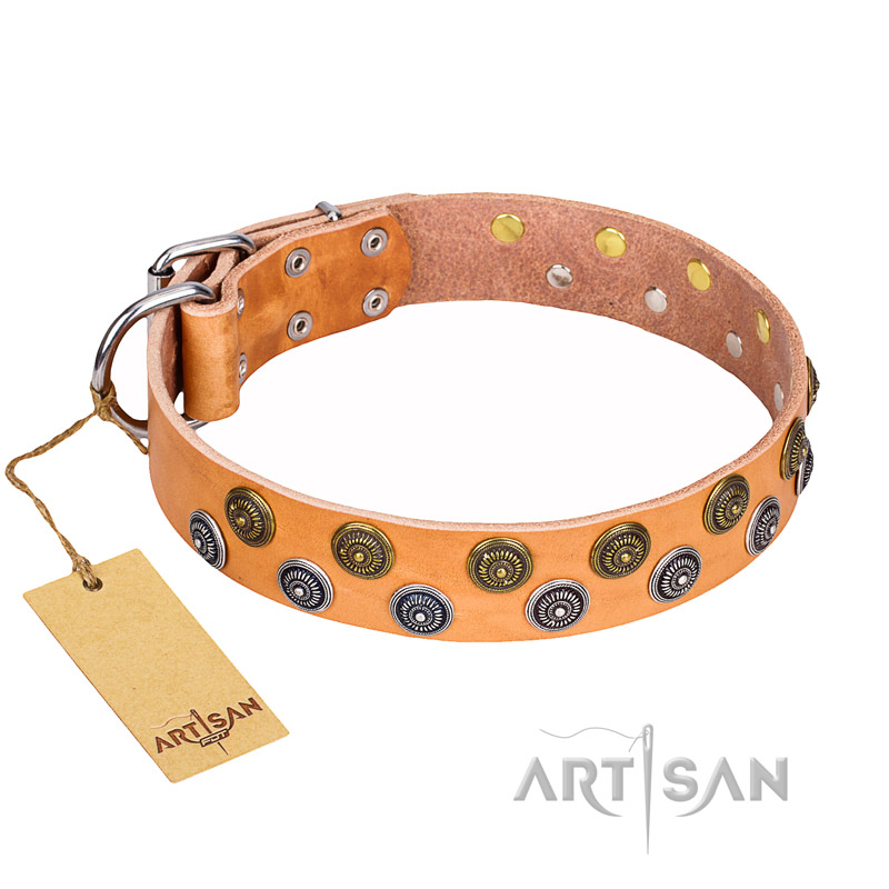 "Precious Sparkle" FDT Artisan Tan Leather American Bulldog Collar