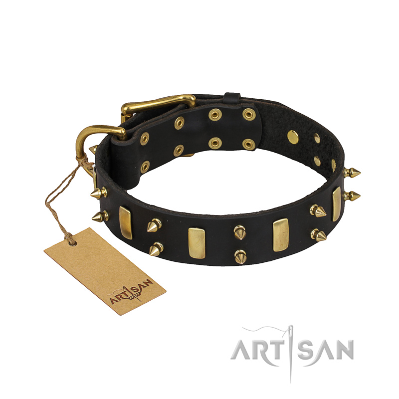 "Medieval Style" FDT Artisan Leather American Bulldog Collar with Brass Plates and Spikes