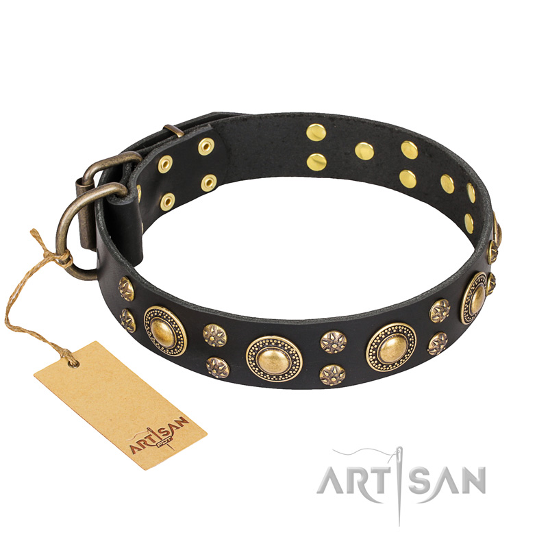'Baroque Chic' FDT Artisan Studded Black Leather American Bulldog Collar