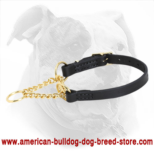 martingale pinch dog collar