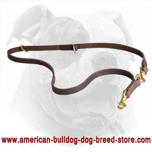 Leather American Bulldog Leash for Different Activities