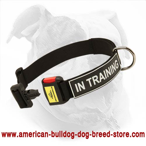 Nylon Collar with ID Patches and Easy Quick Release Buckle - Any Weather and Time Saving Variant