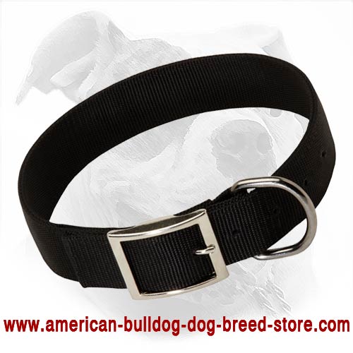 All-Weather Nylon Collar for Your American Bulldog's Daily Pleasant Wearing