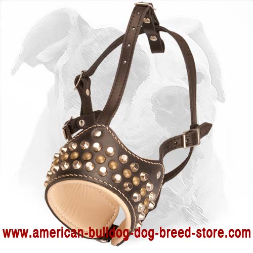 Perfect Air Flow Dog Muzzle with Decorative Pyramids and Studs for American Bulldog