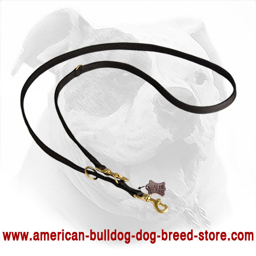 Handmade Police Nylon Dog Lead for American Bulldog - Click Image to Close