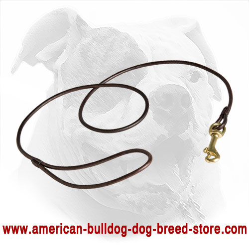 Show Leather Dog Leash for American Bulldog