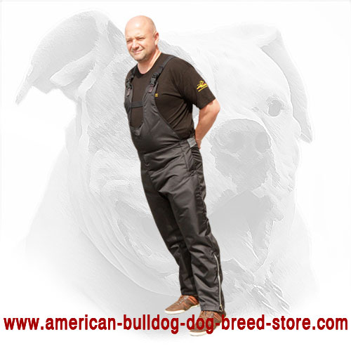 Protection Scratch Pants for American Bulldog Training