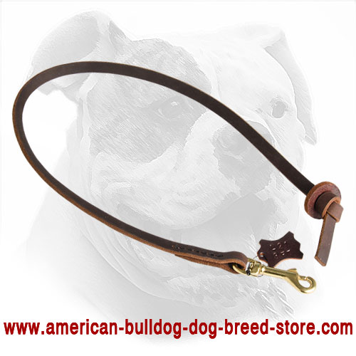 Pocket Size Leather Leash for American Bulldog