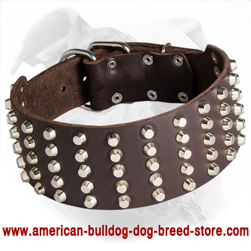 Fashionable Wide Leather Dog Collar for American Bulldog