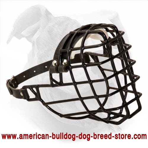 Amazing Wire Basket Muzzle for American Bulldog - Best for Winter