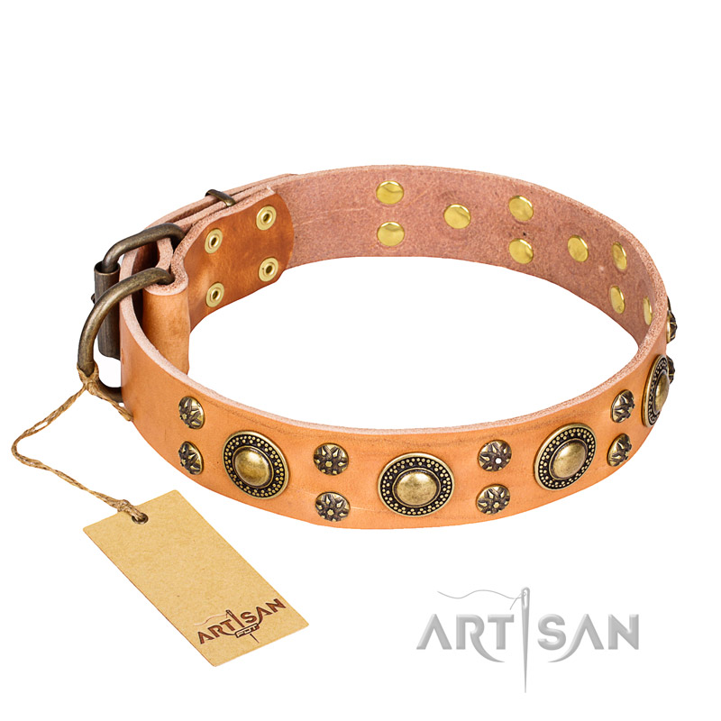 'Sophisticated Glamor' FDT Artisan Tan Leather American Bulldog Collar with Wonderful Old-Bronze Plated Decorations