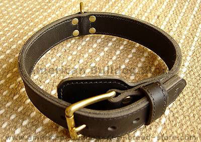 Two-Ply Leather Dog Collar for American Bulldog Agitation Training and Walking