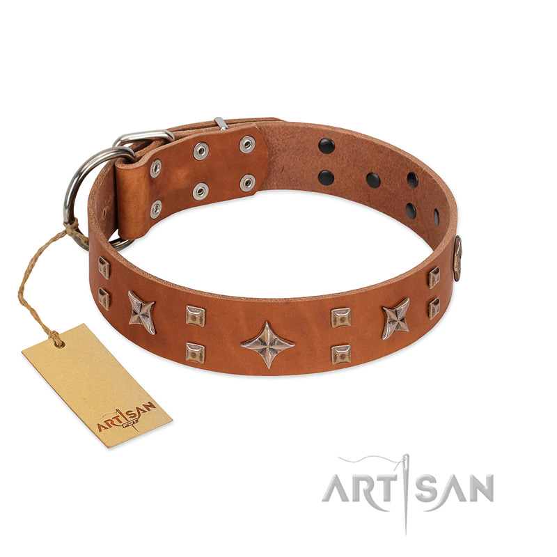 "Dreamy Gleam" FDT Artisan Tan Leather American Bulldog Collar Adorned with Stars and Squares
