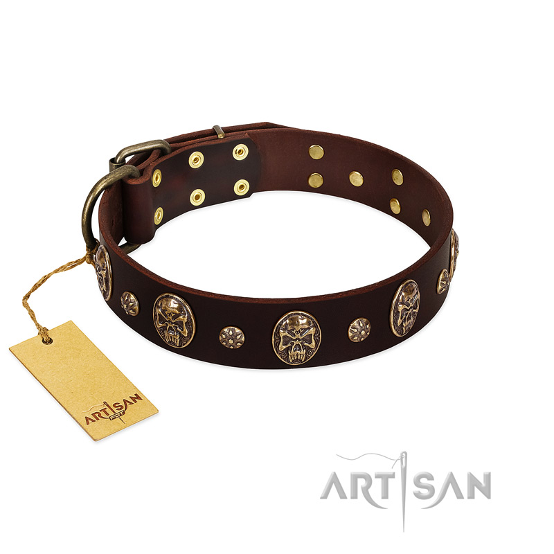 "Breaking the Horizon" FDT Artisan Brown Leather American Bulldog Collar with Engraved Studs and Medallions