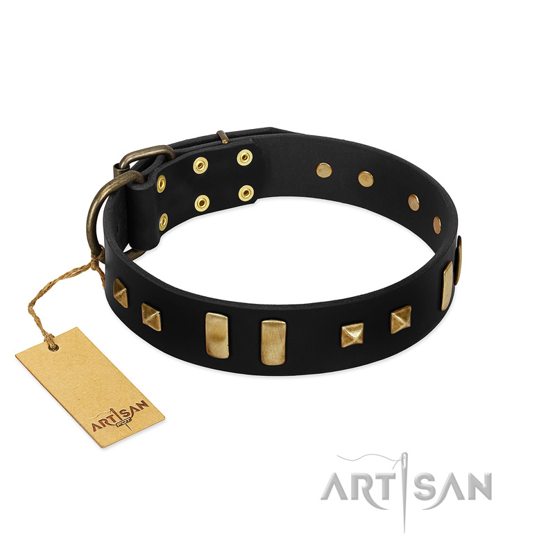 "Fit for Royalty" FDT Artisan Black Leather American Bulldog Collar with Plates and Small Square Studs
