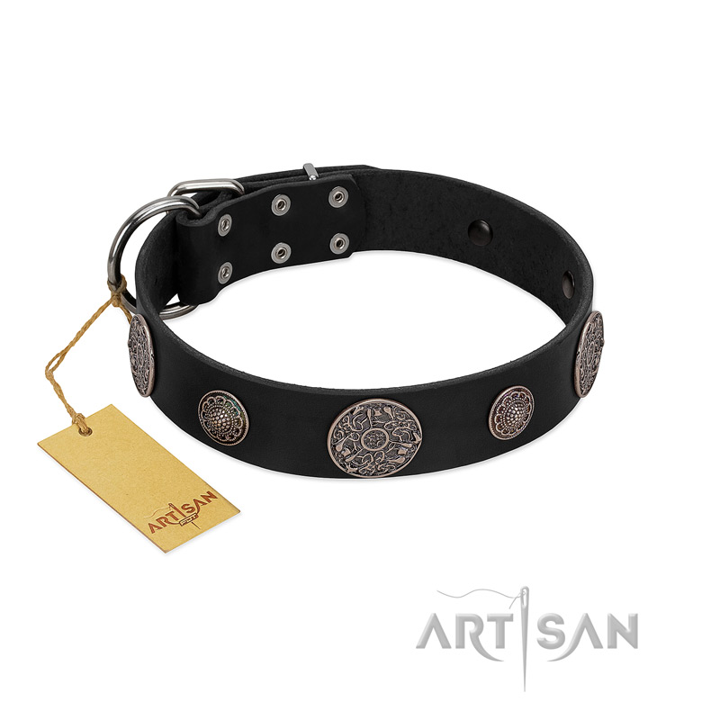 "Ad Infinitum" Durable FDT Artisan Black Leather American Bulldog Collar with Chrome Plated Brooches