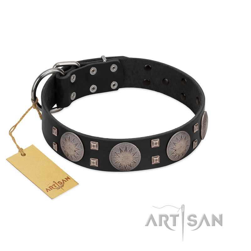 "Sun in Shining" Modern FDT Artisan Black Leather American Bulldog Collar with Studs and Stars