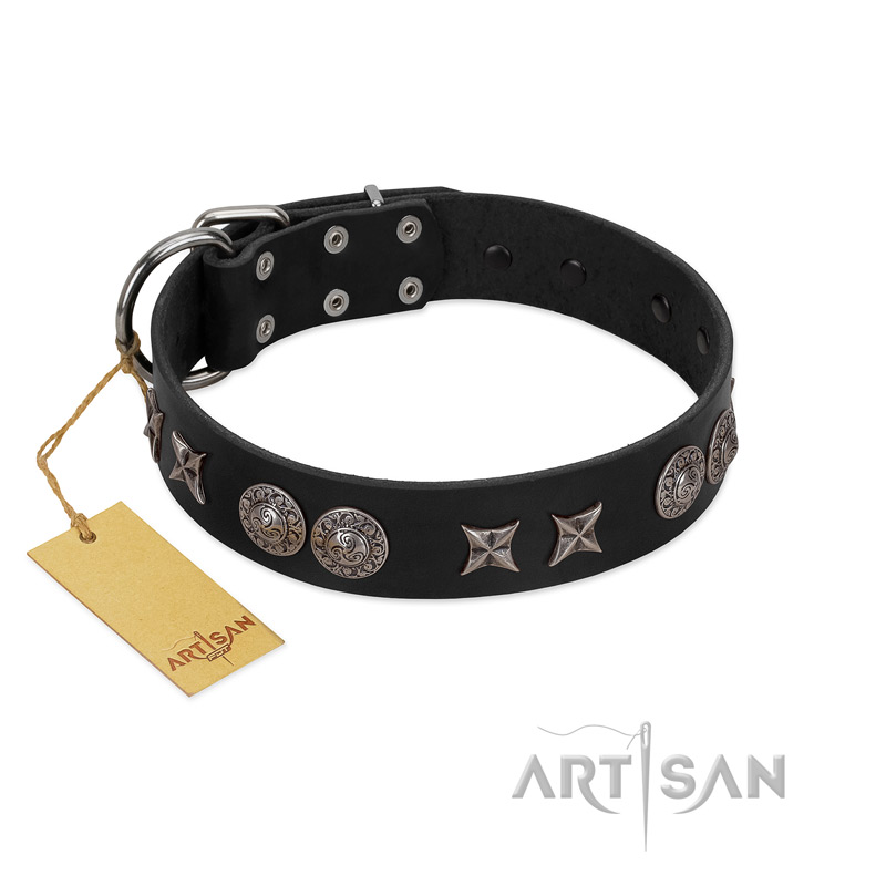"Scythian Silver" Stylish Handmade FDT Artisan Black Leather American Bulldog Collar - Click Image to Close