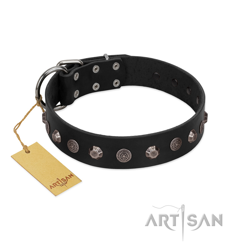 "Black Knight" Handmade FDT Artisan Black Leather American Bulldog Collar with Silver-Like Studs