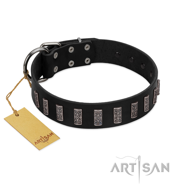 "Black Prince" Handmade FDT Artisan Black Leather American Bulldog Collar with Silver-Like Adornments