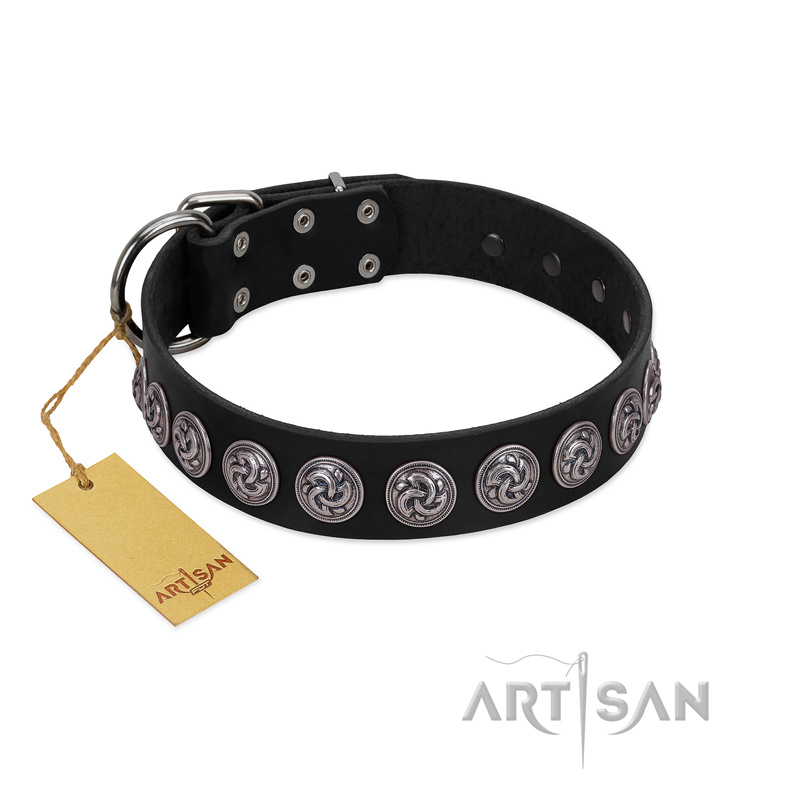 "Black Raven" Handmade FDT Artisan Black Leather American Bulldog Collar with Silver-Like Adornments