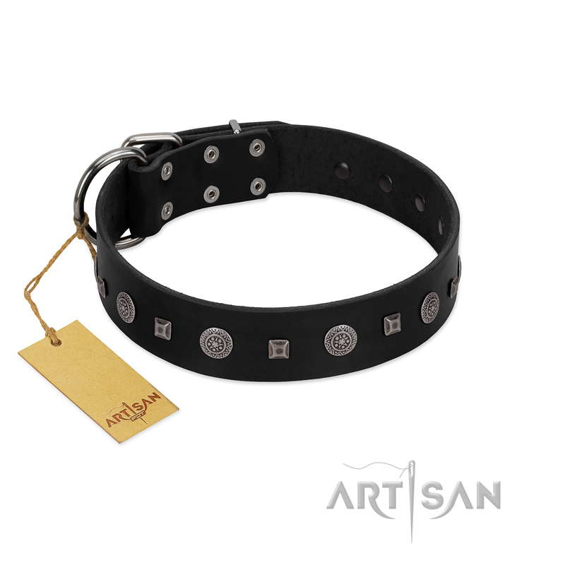 "Mr. Elegance" Designer FDT Artisan Black Leather American Bulldog Collar with Silver-Like Studs