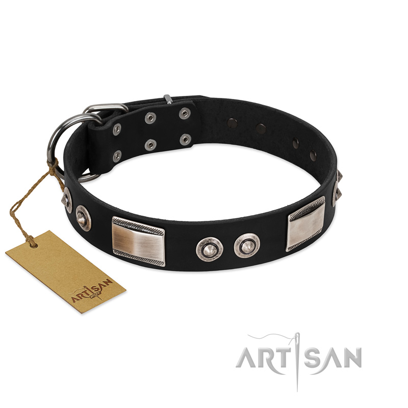 "Grand Wear" FDT Artisan Black Leather American Bulldog Collar with Shining Plates and Spiked Studs
