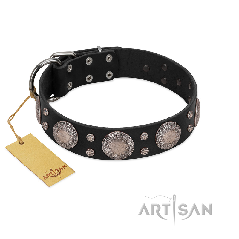 "Starry Sky" Trendy FDT Artisan Black Leather American Bulldog Collar with Large Brooches