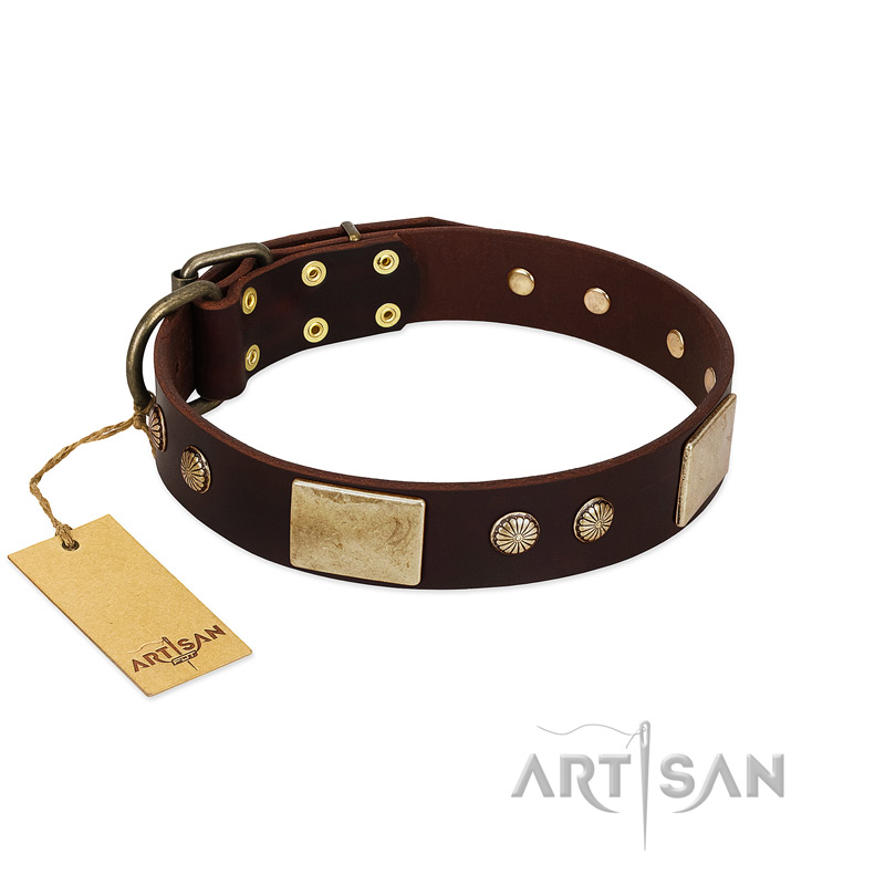 "Middle Age" FDT Artisan Brown Leather American Bulldog Collar with Old Bronze-Plated Engraved Flowers and Large Plates