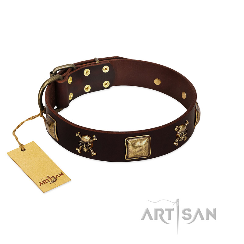 "Crazy Pirate" FDT Artisan Brown Leather American Bulldog Collar with Old Bronze-Plated Skulls and Plates