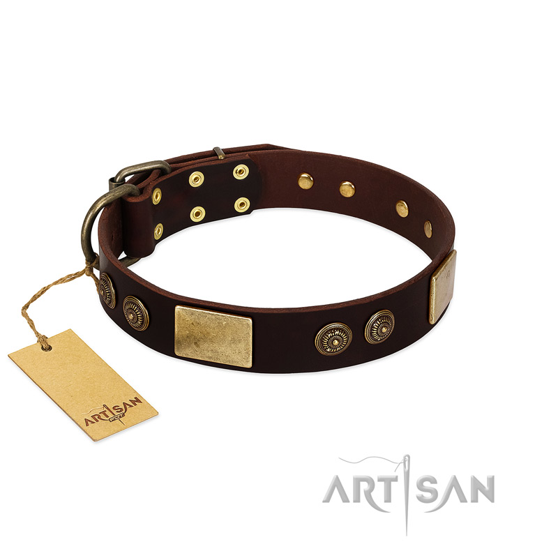 "Bow-Wow Effect" FDT Artisan Brown Leather American Bulldog Collar with Plates and Ornate Studs