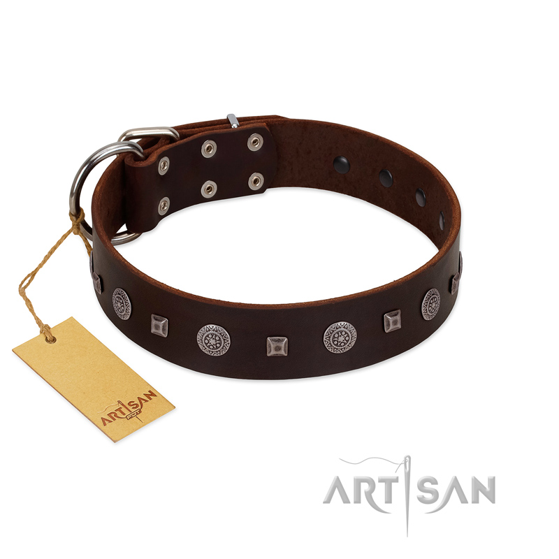 "Pure Sensation" Exclusive FDT Artisan Brown Leather American Bulldog Collar with Fancy Brooches and Studs