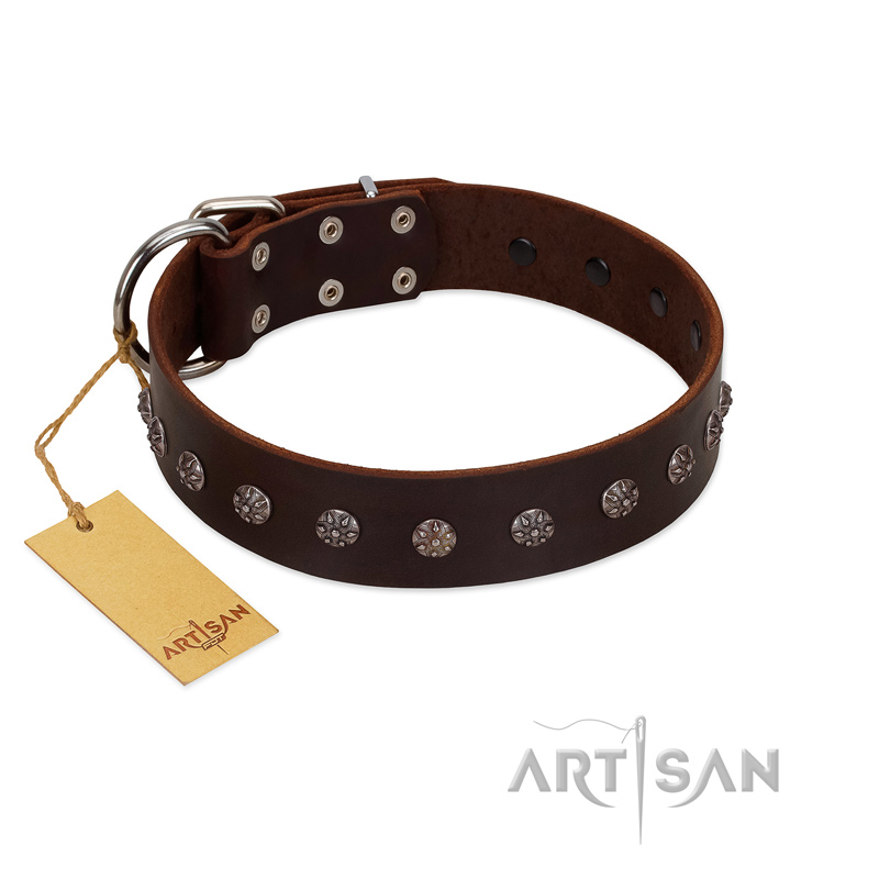 "Graceful Classic" Mod FDT Artisan Brown Leather American Bulldog Collar