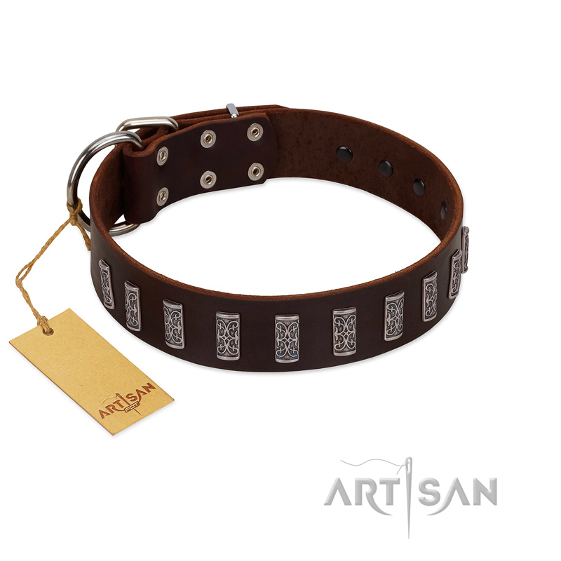 "Brown Lace" Handmade FDT Artisan Brown Leather American Bulldog Collar for Everyday Walks