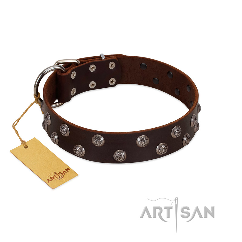 "Blossom Jewel" FDT Artisan Brown Leather American Bulldog Collar with Two Rows of Silver-like Studs with Engraved Flowers
