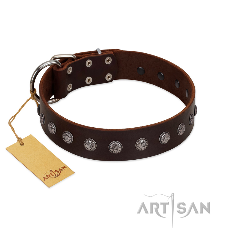 "Spring Flower" Stylish FDT Artisan Brown Leather American Bulldog Collar for Comfy Walks