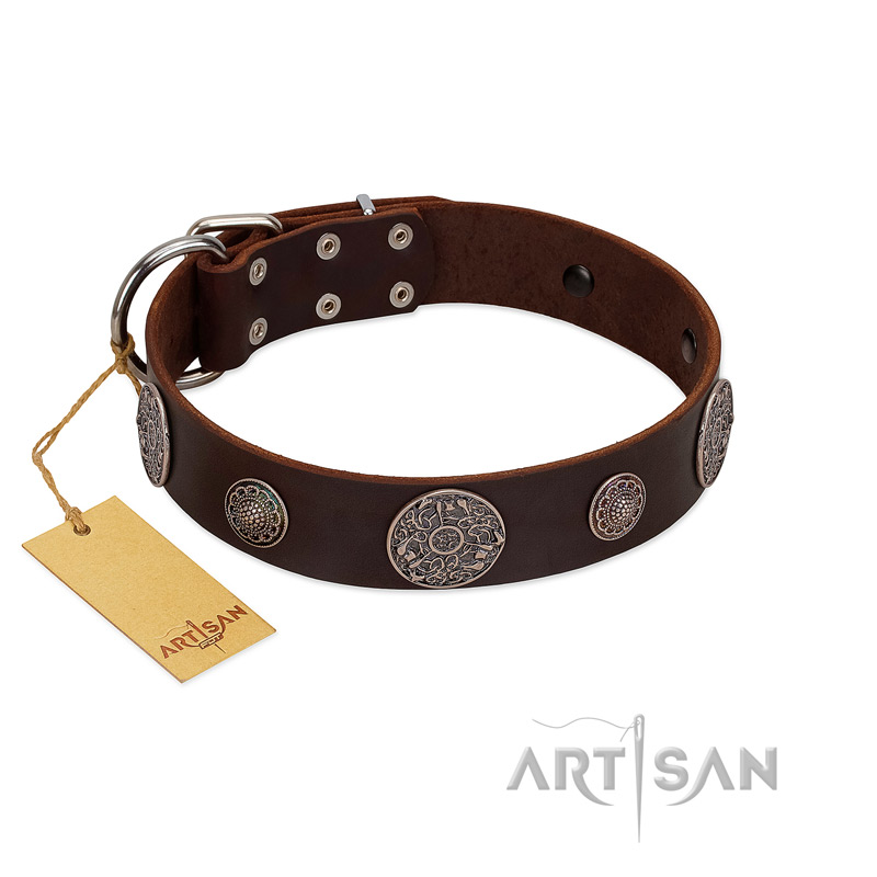 "Flashy Woof" FDT Artisan Brown Leather American Bulldog Collar with Chrome Plated Brooches