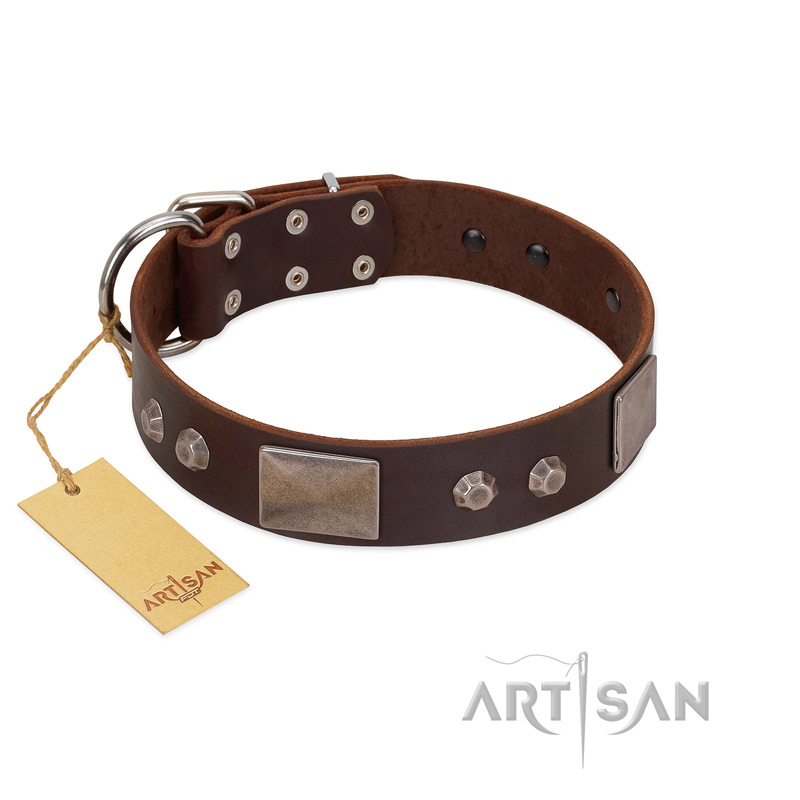 "Stone Stars" Stylish Handmade FDT Artisan Brown Leather American Bulldog Collar