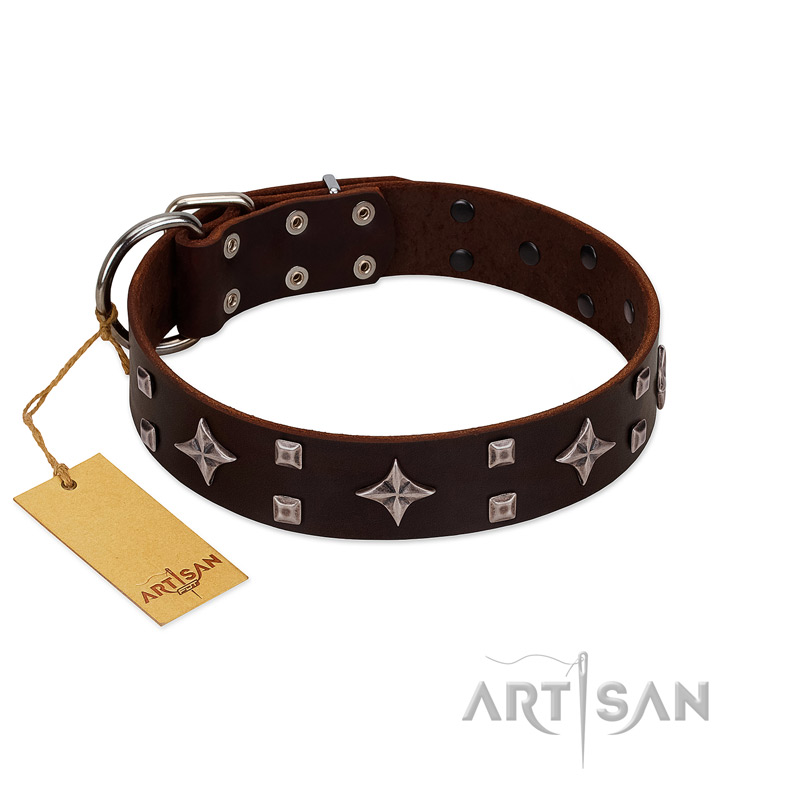 "Trendy Candy" FDT Artisan Brown Leather American Bulldog Collar Adorned with Stars and Tiny Squares