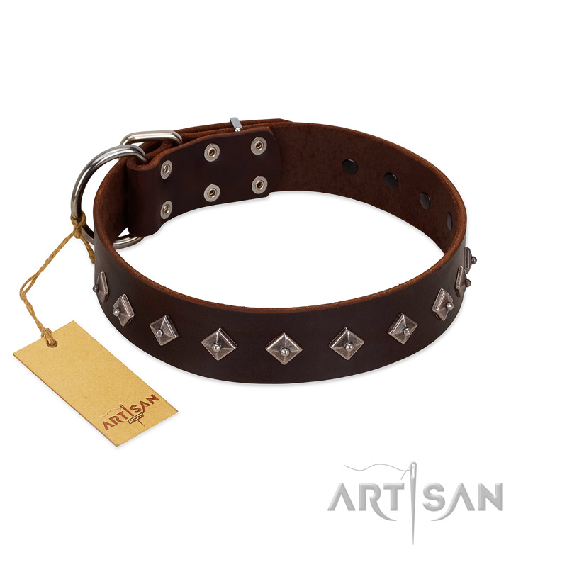 "Boundless Energy" Premium Quality FDT Artisan Brown Designer Leather American Bulldog Collar with Small Pyramids