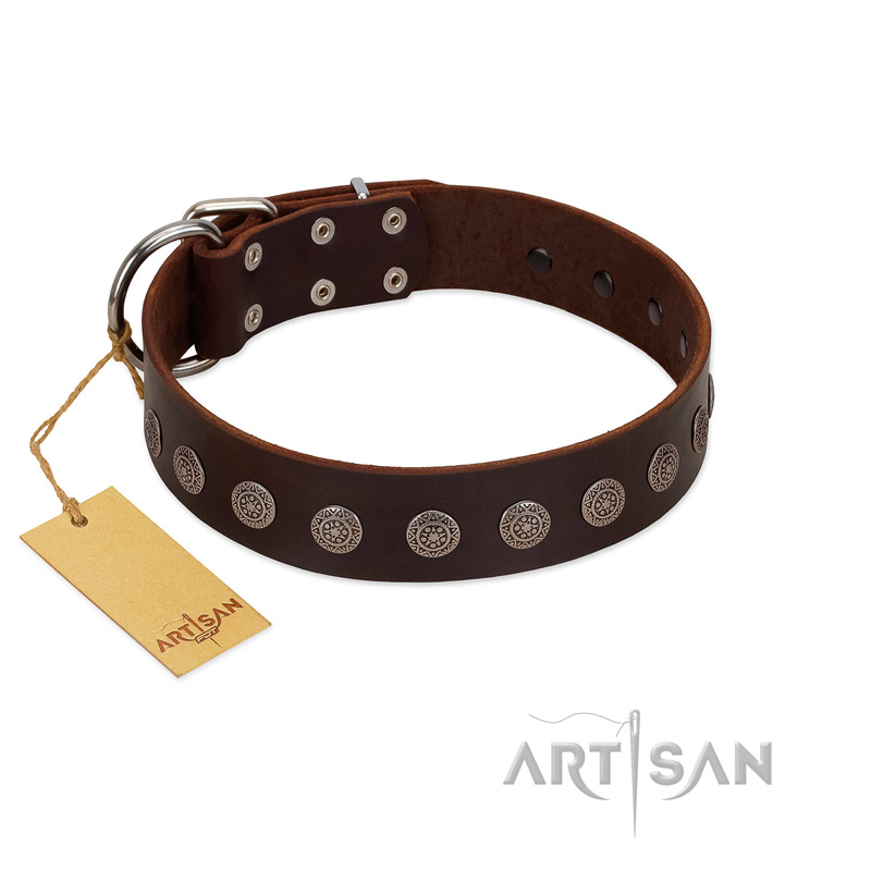 "Starry-Eyed" Best Quality FDT Artisan Brown Designer Leather American Bulldog Collar with Small Plates