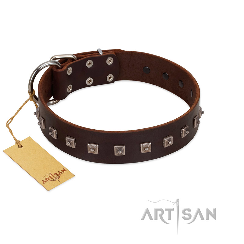 "Kingly Grace" FDT Artisan Brown Leather American Bulldog Collar with Silver-like Dotted Studs