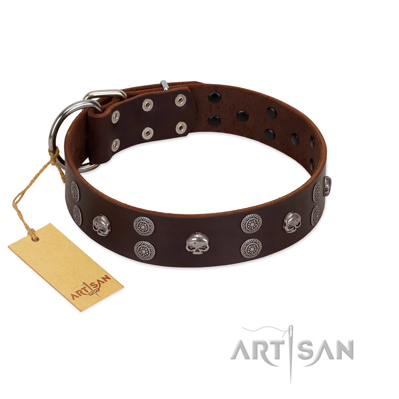 "Skull Valley" Handcrafted FDT Artisan Brown Leather American Bulldog Collar with Skulls