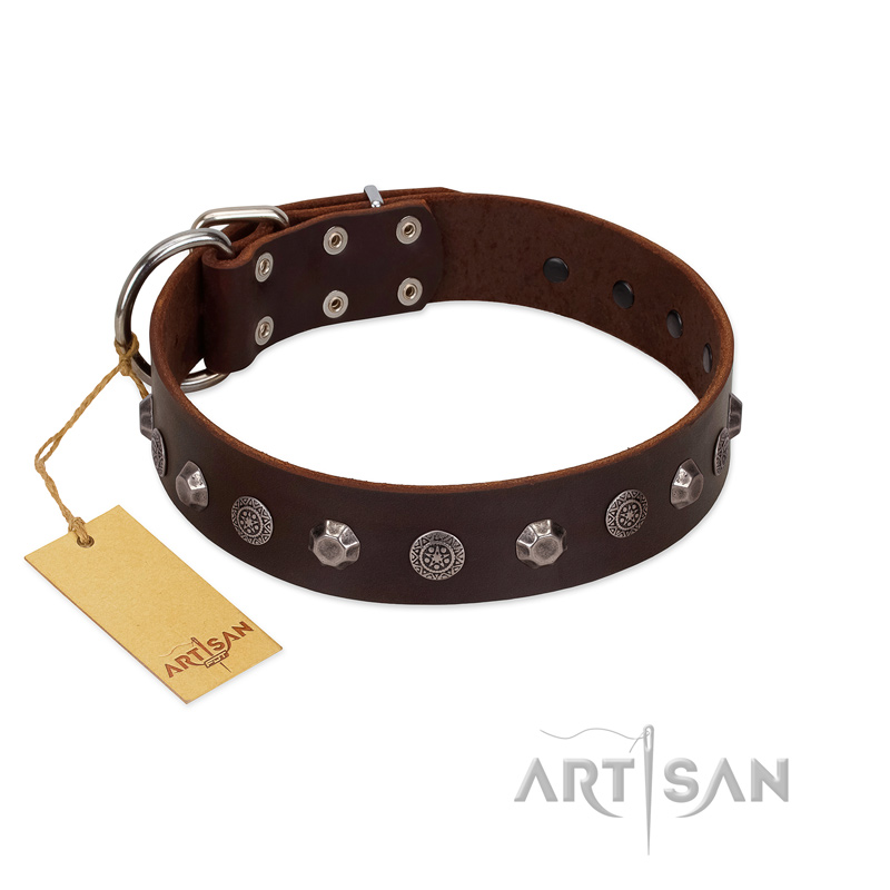 "Dark Chocolate" Handmade FDT Artisan Brown Leather American Bulldog Collar with Studs